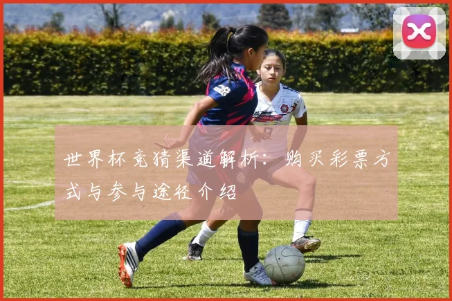世界杯竞猜渠道解析：购买彩票方式与参与途径介绍