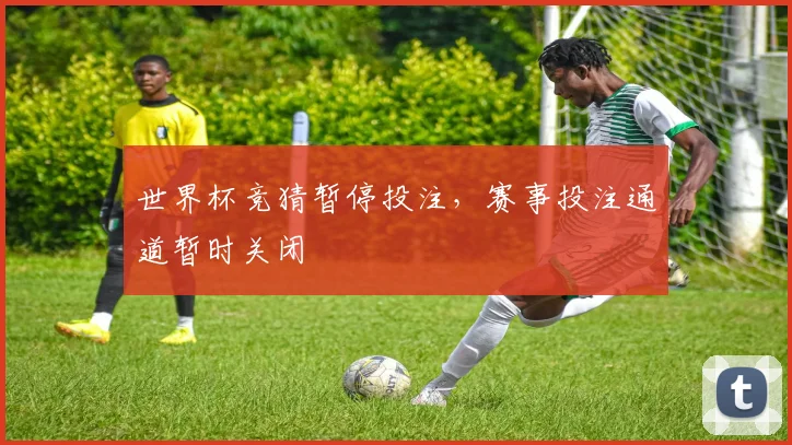 世界杯竞猜暂停投注，赛事投注通道暂时关闭