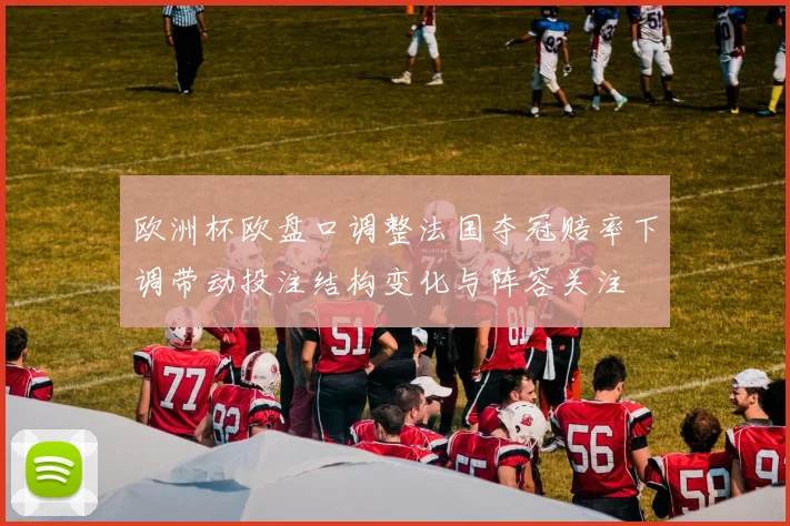 欧洲杯欧盘口调整法国夺冠赔率下调带动投注结构变化与阵容关注