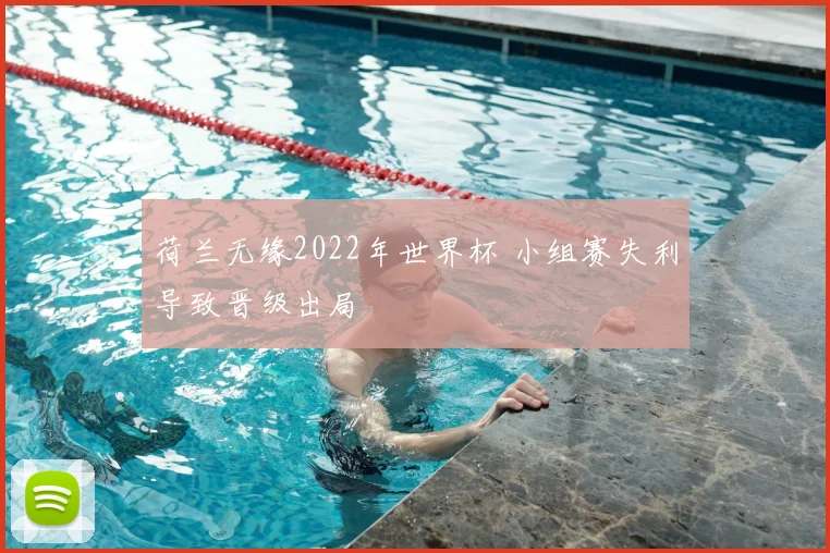 荷兰无缘2022年世界杯 小组赛失利导致晋级出局