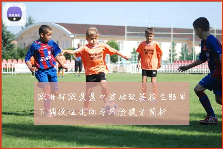 欧洲杯欧盘盘口波动致英格兰赔率下调投注走向与风险提示简析